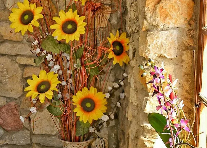 Gasthof Mies De Somo